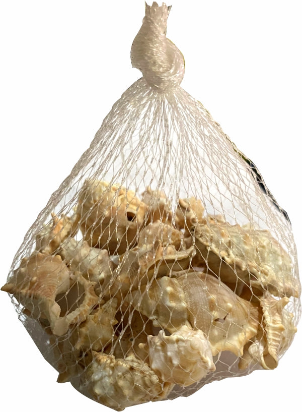 Sea Shells Large Net (1 Pouch)
