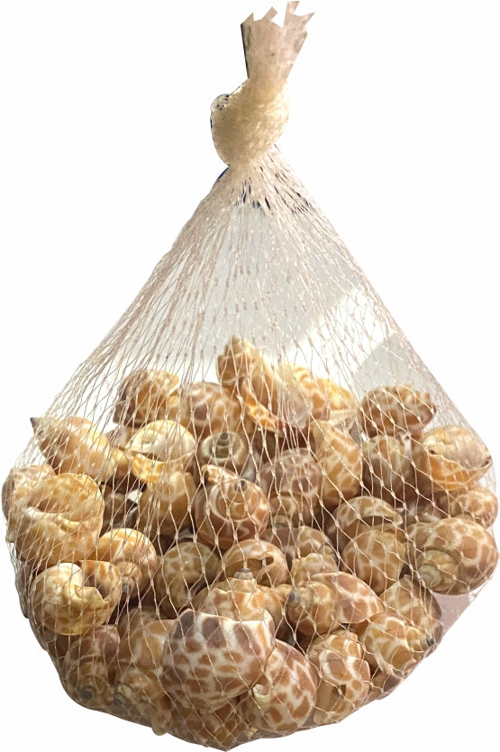 Sea Shells Large Net (1 Pouch)