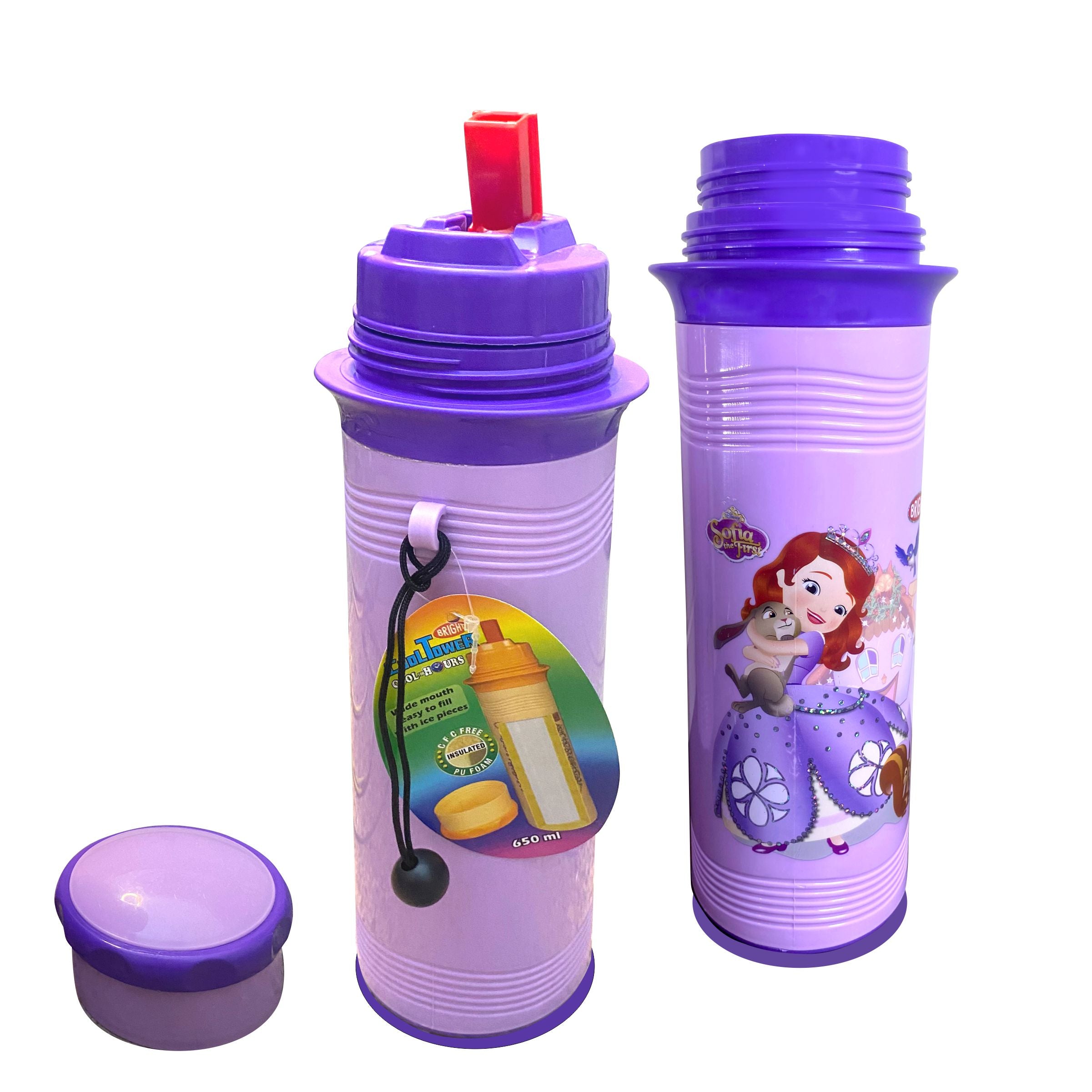 Sofia the First Character Water Bottle For Kids 650ml