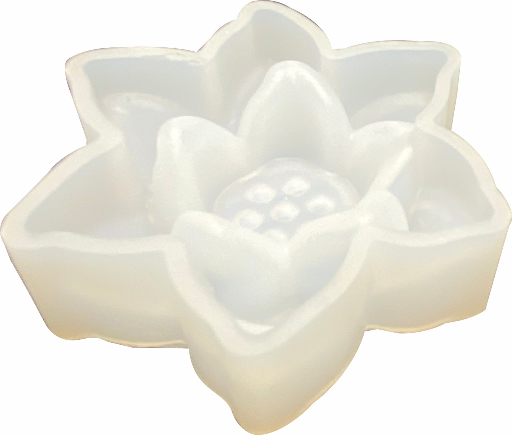 Silicone Mold' # DJ-351