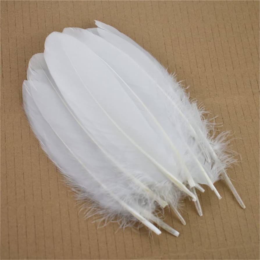 Feather Fancy Medium (20 Pcs)- White -