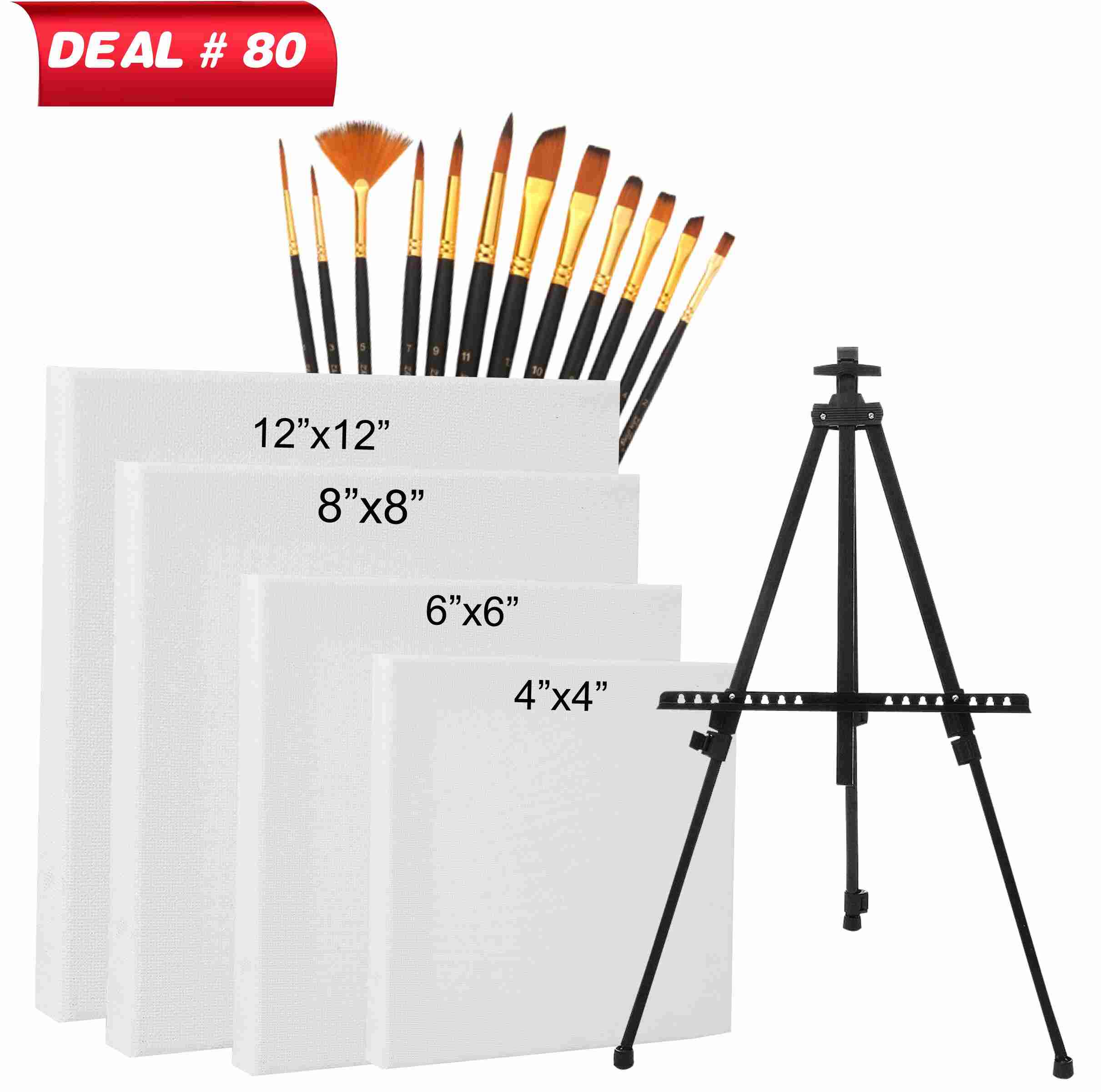Canvas & Brush Deal For Artist, Deal No.80