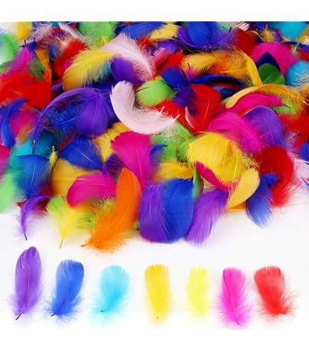 Feather Fancy Medium - Mix Colour - (FW-45)