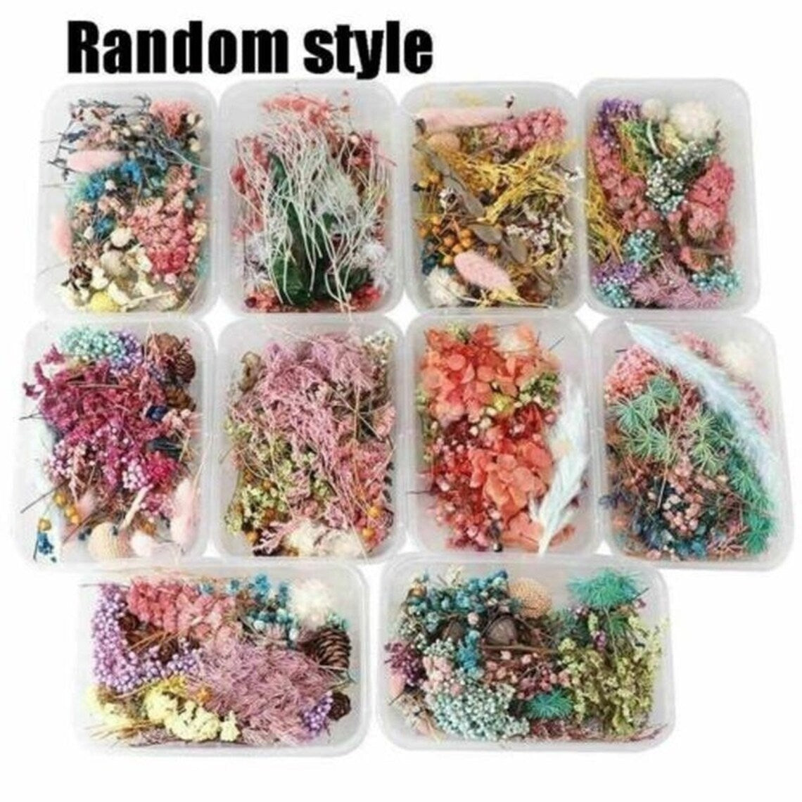 1 Box Mix Beautiful Real Dried Natural Flowers for Resin Jewelry Craft Making