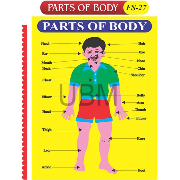 Party Of Body Fs-27 
