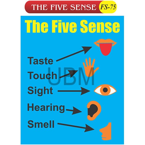 The Five Sense Fs-75 