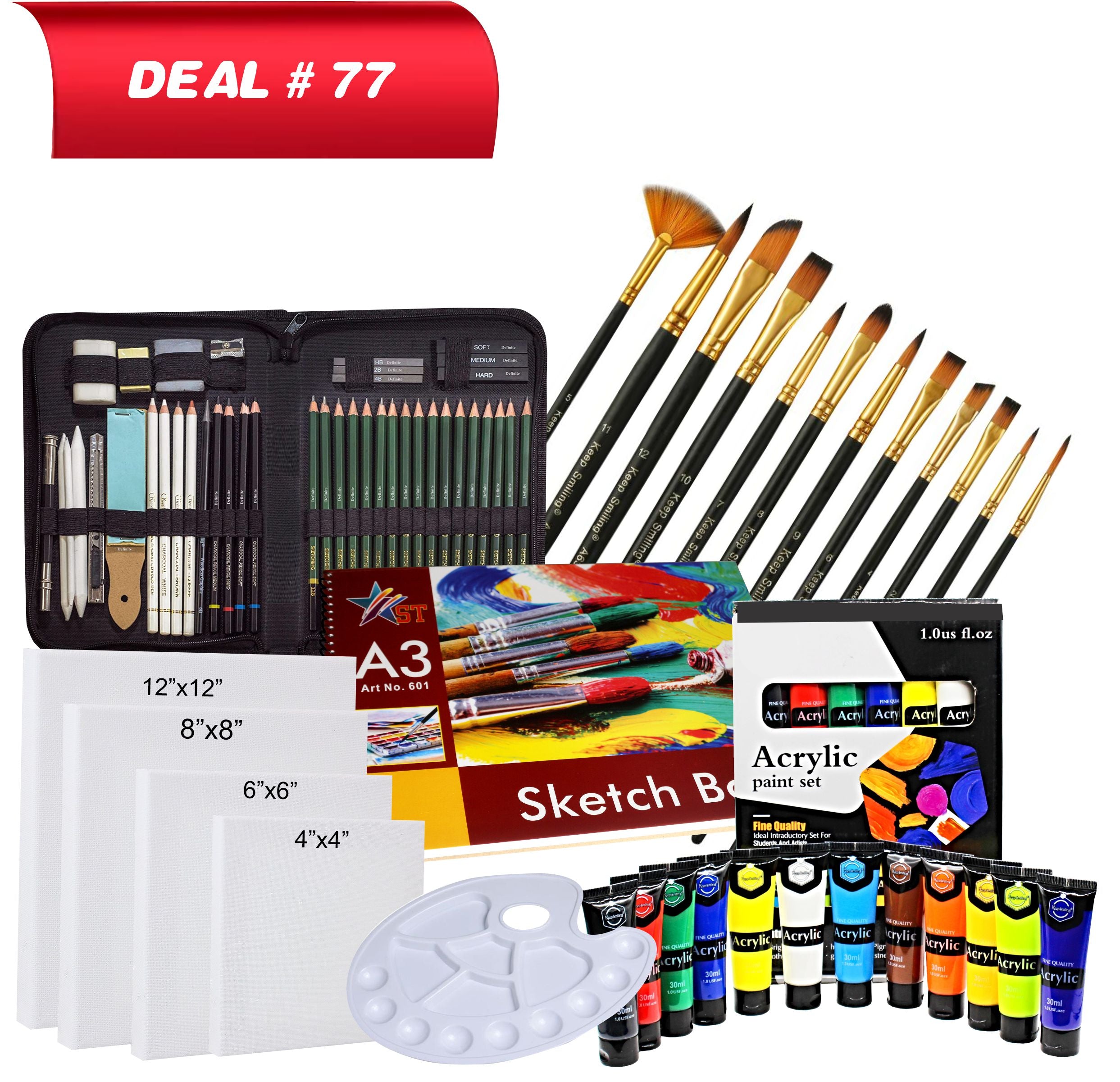 Sketching & Acrylic Kit For Professional Artist's, Deal No.77