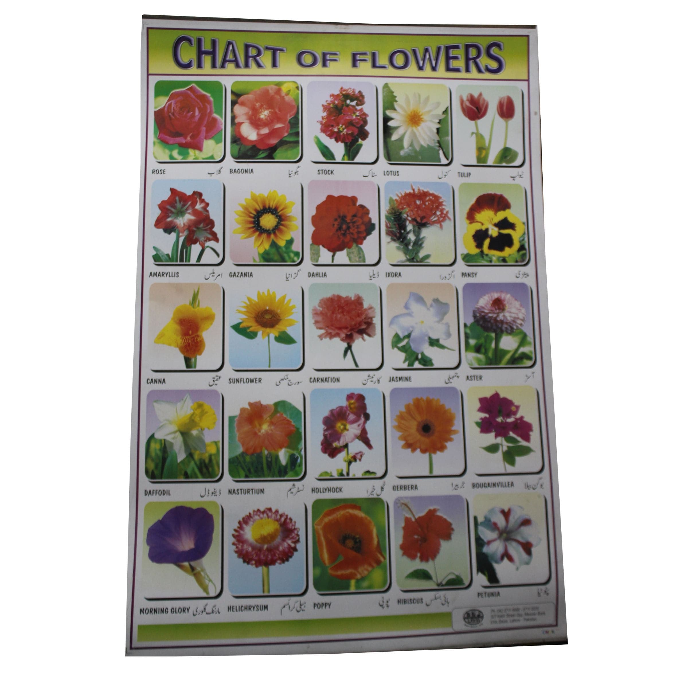 Kids Early Learning Educational Charts