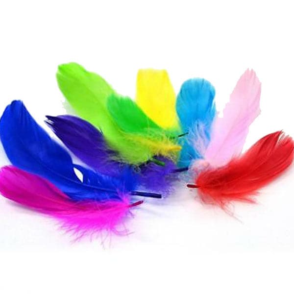 Feather Small packet