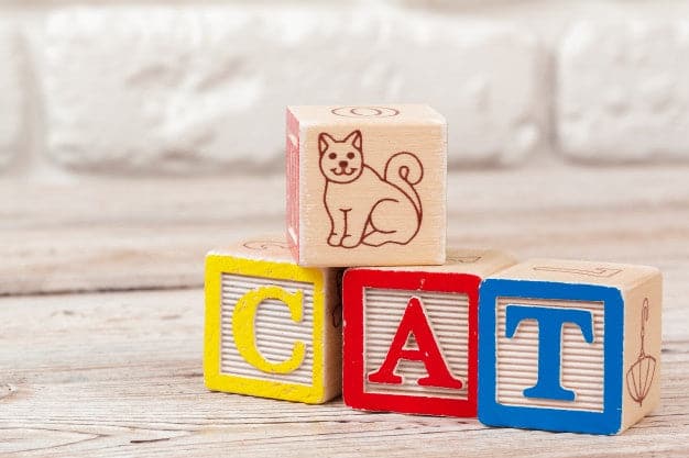 Wooden Toy Abc Blocks (27 Pcs) # 180