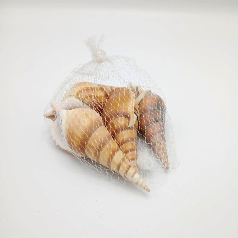 Sea Shells Large Net (1 Pouch)