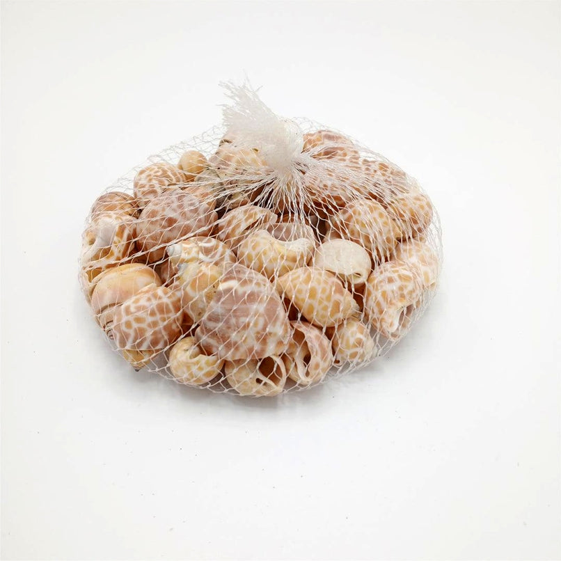 Sea Shells Large Net (1 Pouch)