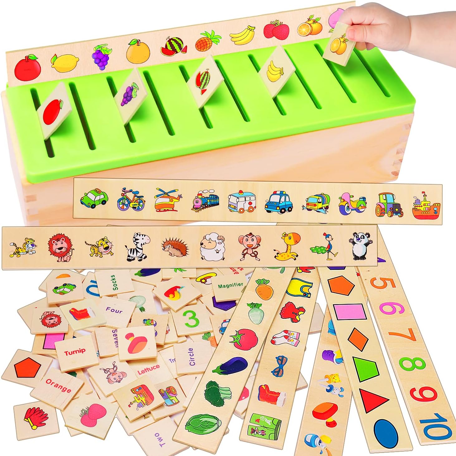Children’s Educational Toy Early Learning Knowledge Classification Box