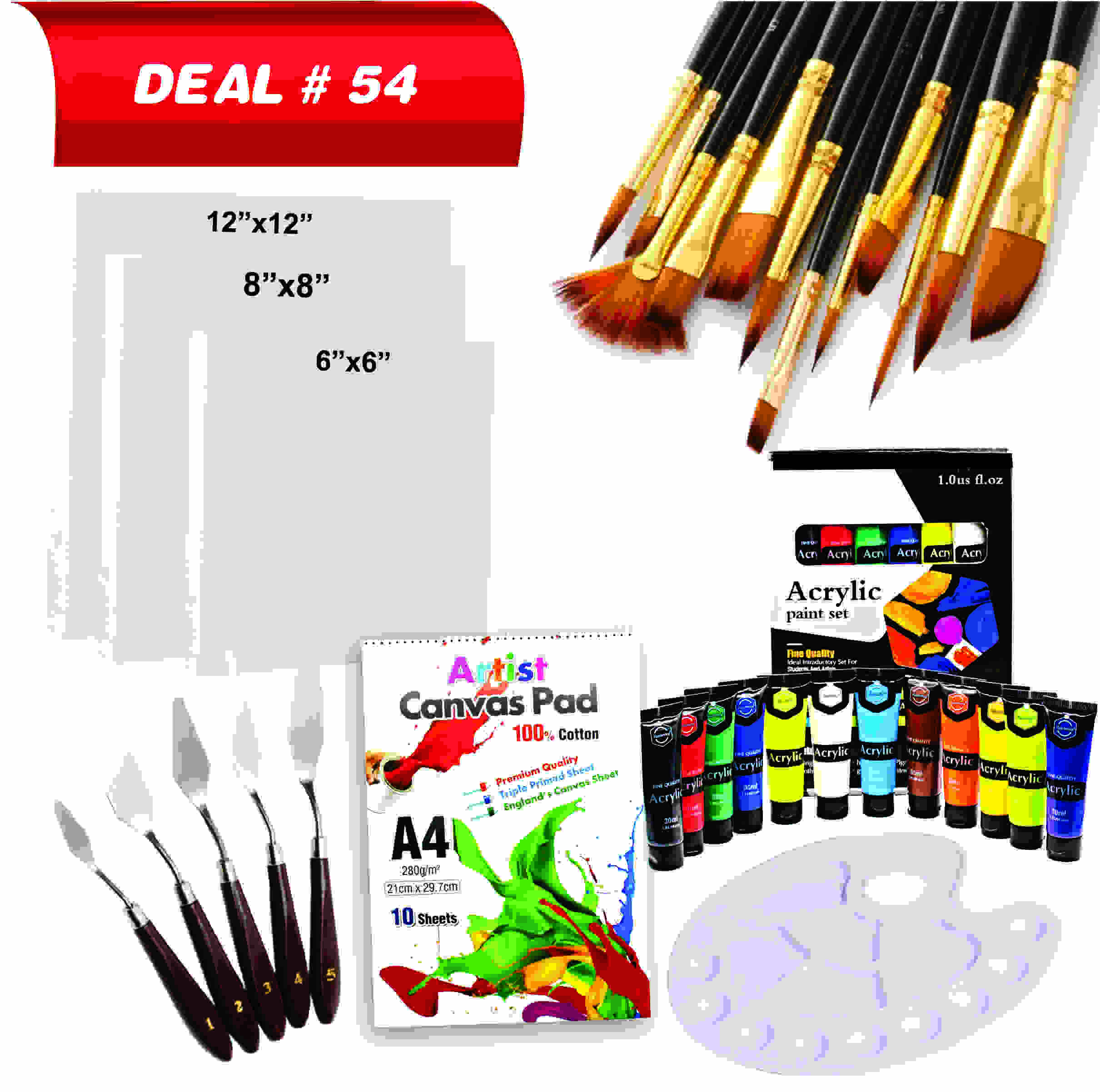 Acrylic Painting Deal for Artist, Deal No.54
