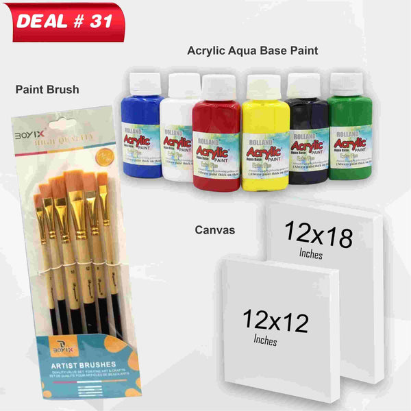 Acrylic Painting Kit For Professional Artist's, Deal No. 62