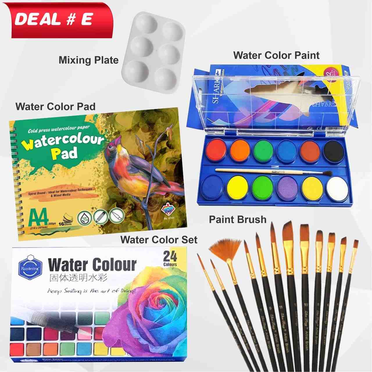 Artist Watercolor Deal #E