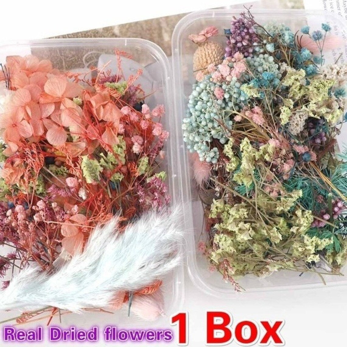 1 Box Mix Beautiful Real Dried Natural Flowers for Resin Jewelry Craft Making Epoxy Mold Filling
