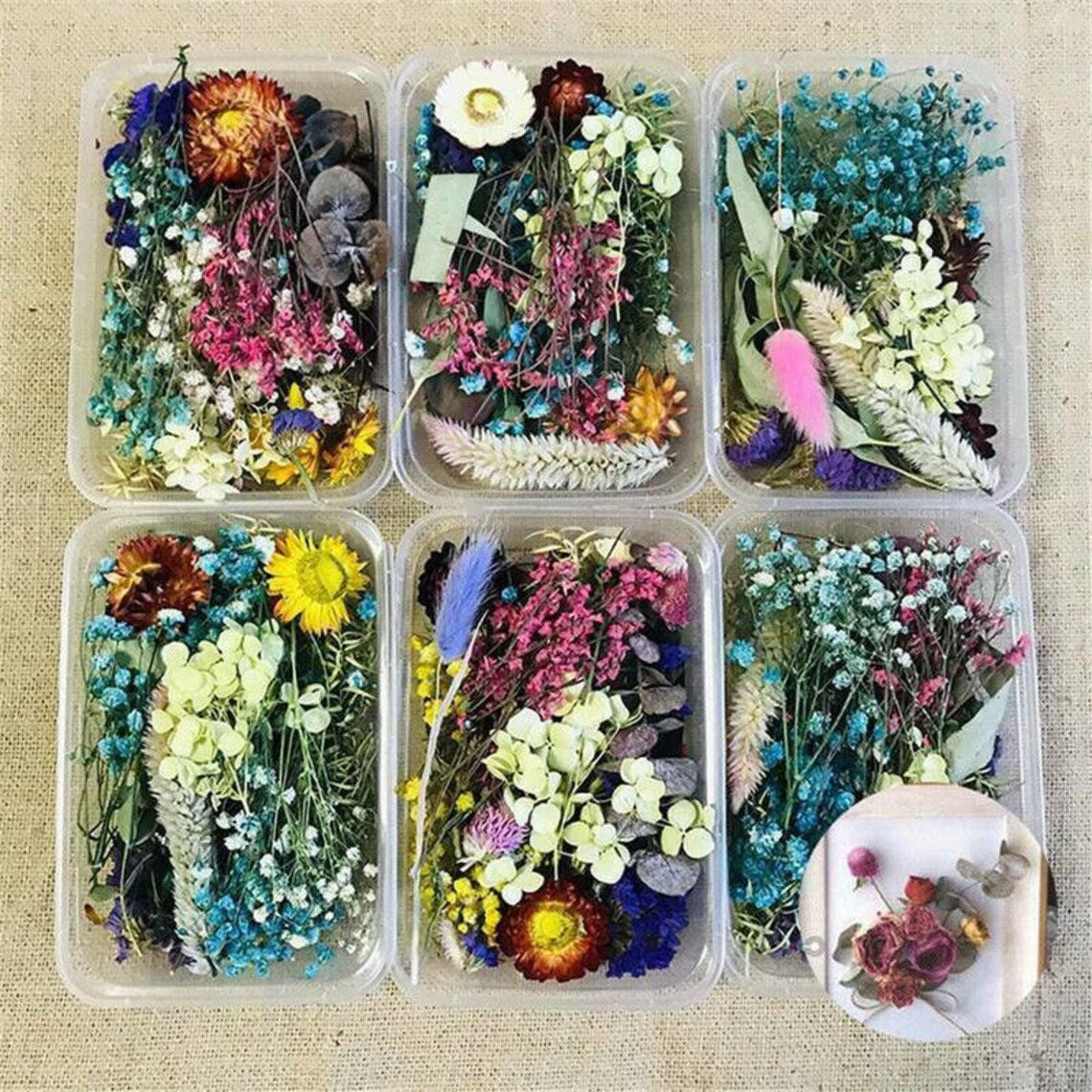 1 Box Mix Beautiful Real Dried Natural Flowers for Resin Jewelry Craft Making Epoxy Mold Filling