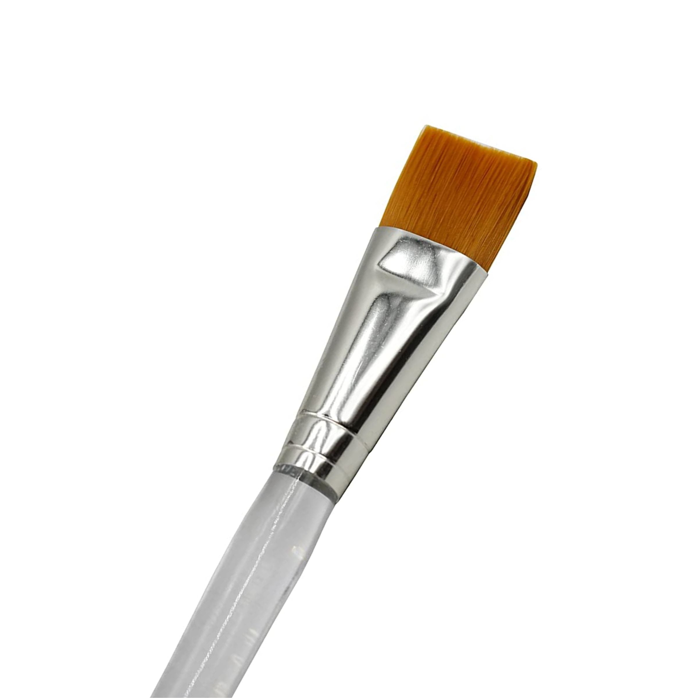 Transparent Flat Brushes Pack of 6