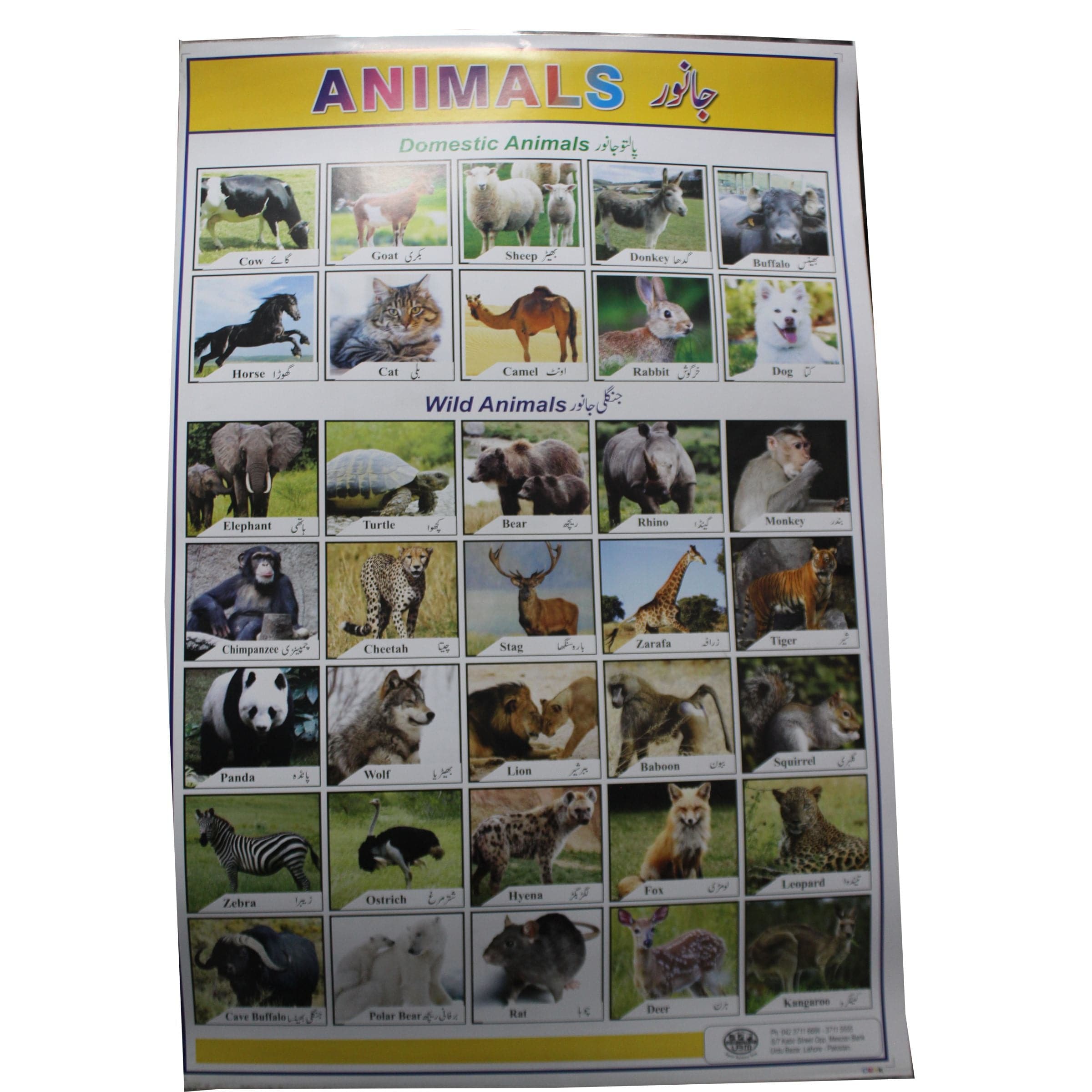 Learning Card Animals