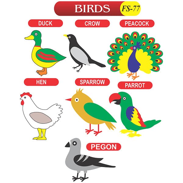 Birds Animal Fs-77 Colored