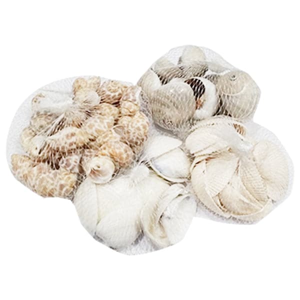 Sea Shells Large Net (1 Pouch)
