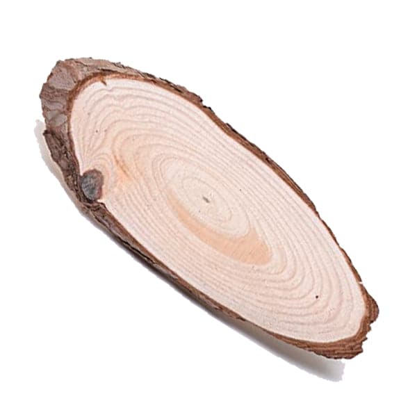 Wooden Slice Oval 10 Inch